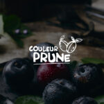 HomePage_couleurPrune